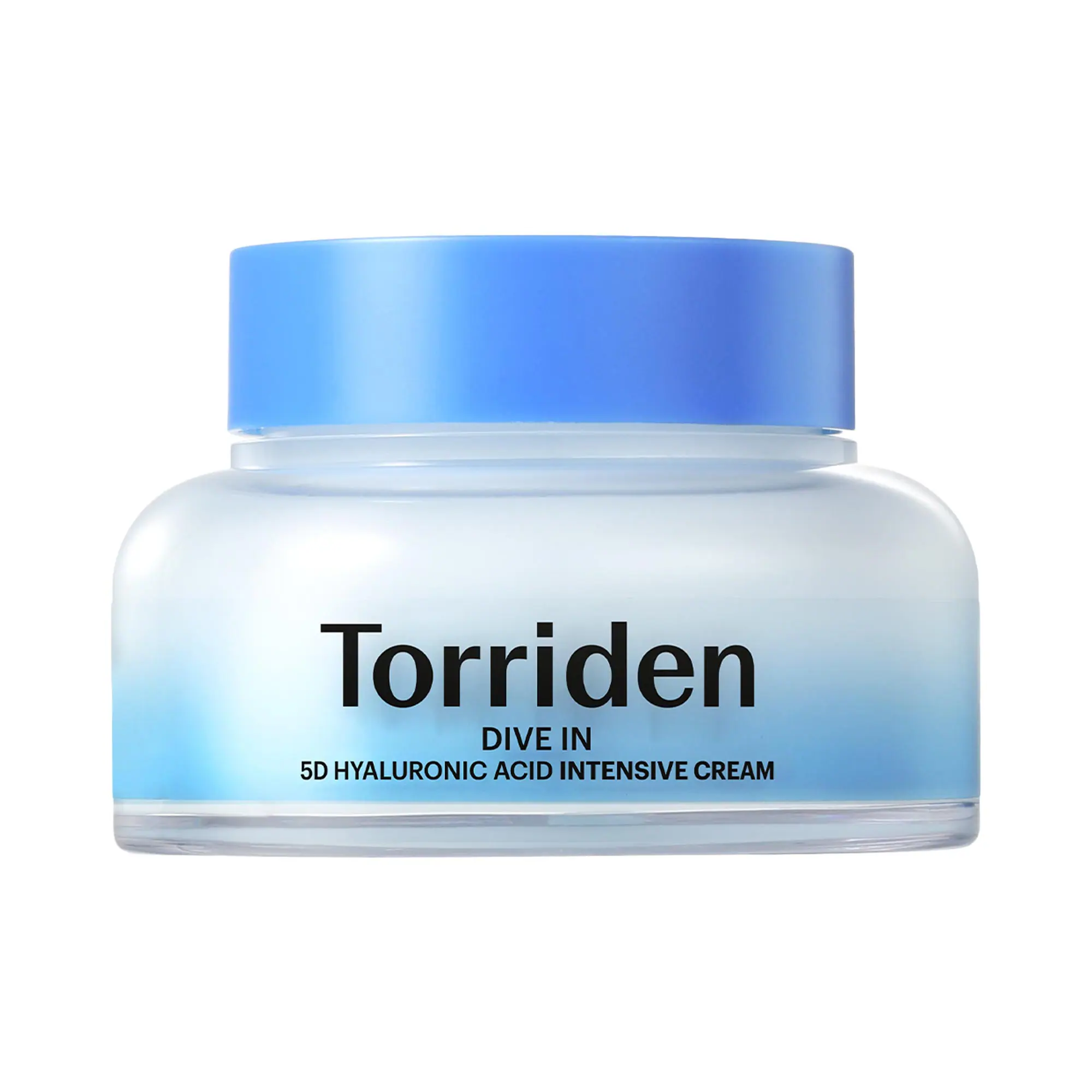 DIVE IN 5D Hyaluronic Acid Intensive Cream for dry Skin & Moisture Barrier Support